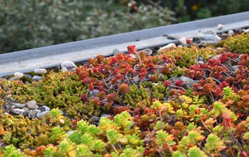 the cost of Magherasaul green roof installation