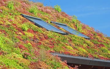 Magherasaul living roof systems