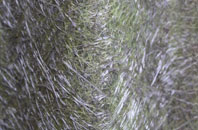 Magherasaul fibreglass roof work